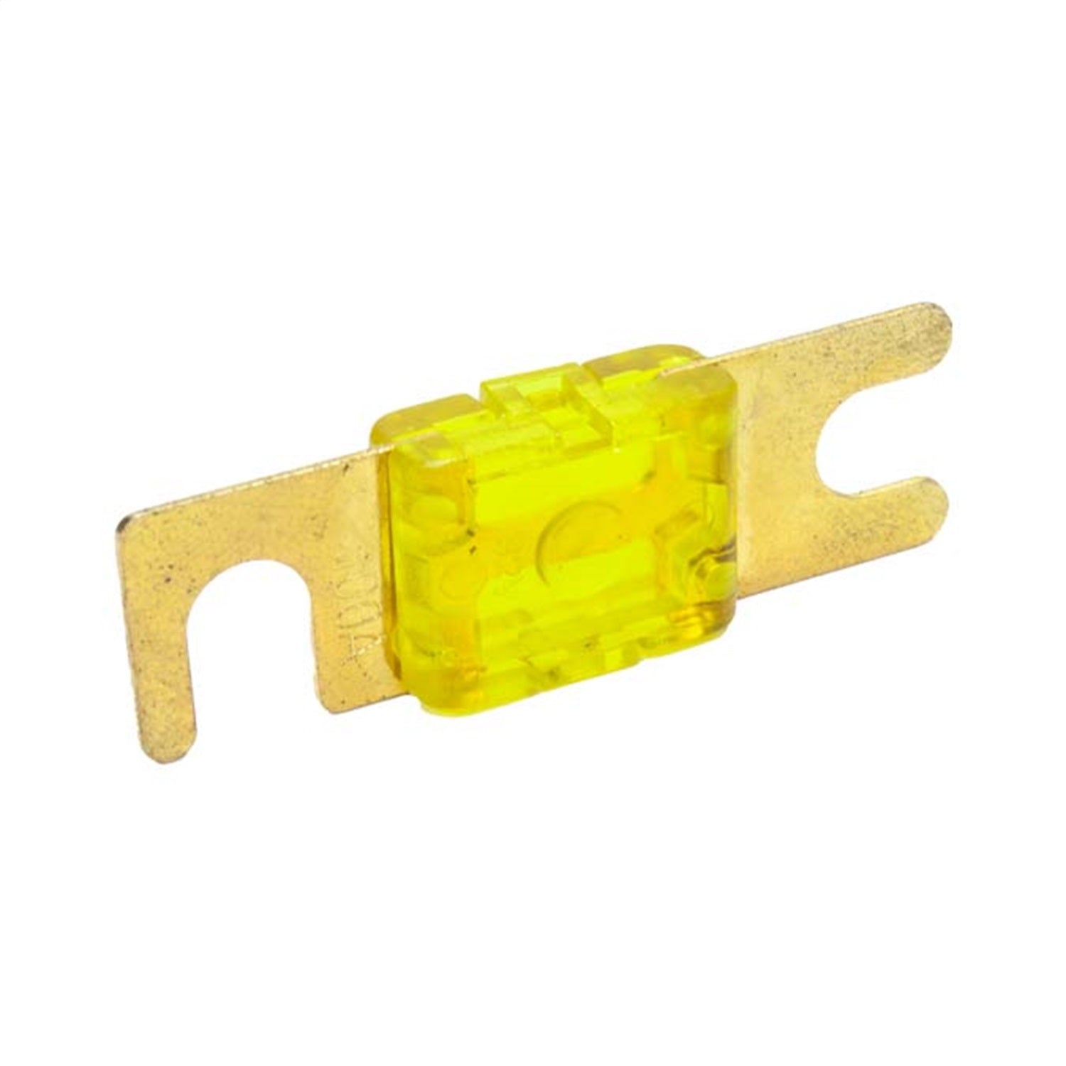 SNF-25012_l.jpg