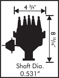 8478_dims19165.jpg